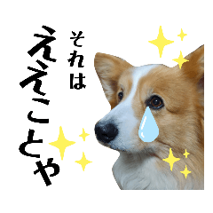 Shinobu_20221118141007