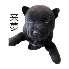 SMILE_20221118155713