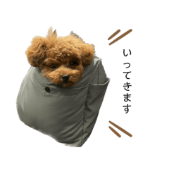 yukari_20221119080340