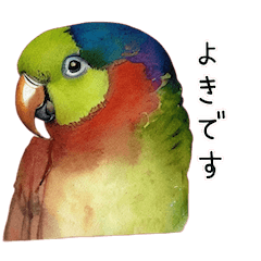 Realistic Handwritten Parakeet Sticker