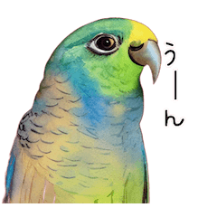 Vivid parakeet Sticker