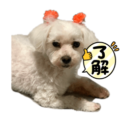 yuka_20221119074230