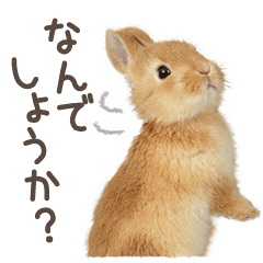 Rabbit Bounce Sticker -Honorifics Ver.-