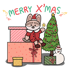 Raccano | Christmas & Happy New Year