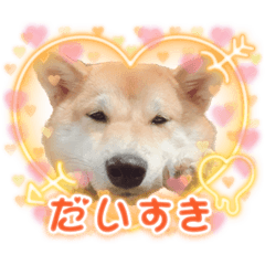 mizuki_20221118231852