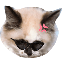kii_20221118234926