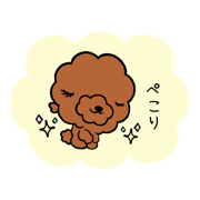 kinako_20221119102647