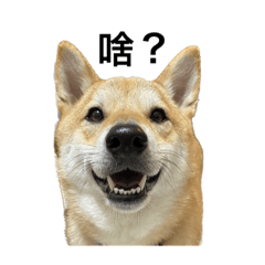 我叫多多請多多指教