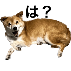 nanamin_20221119164108