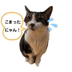 Hana_20221119195634