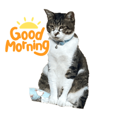 TAKU toratyannsutannpu