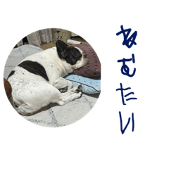 dog stamp Yuzu2