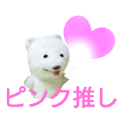 mamipon_20221119221109
