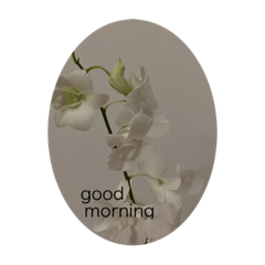 NATSUMI_20221119224459