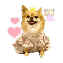 shiho_20221120160204