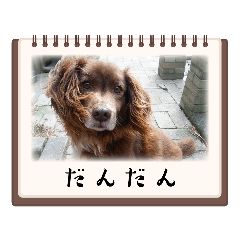 Dan_20221120163226