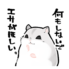 Jungarian hamster13