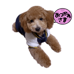 yuka_20221120174103