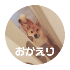 hikari_20221120193222