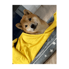 yuto_20221121092413