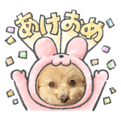 nanamin_20221121021906