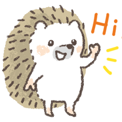 everyday use / cute hedgehog