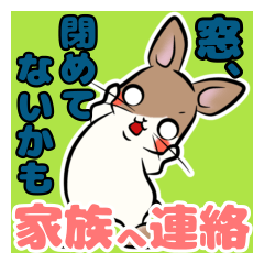 Cute Rabbit Family chats sticker