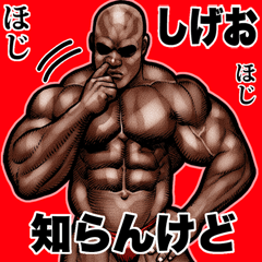 Shigeo dedicated Muscle macho Big 2