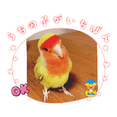nora_20221121000241