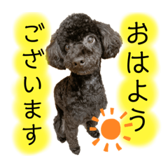 RINA_20221121151000