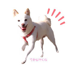 ayano_20221121135008