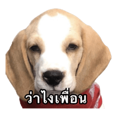 Rubibi_20221120225431