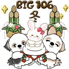 【Big】シーズー犬 106『冬(年末まで)』