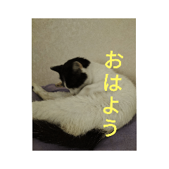 Hikaru_20221121165516