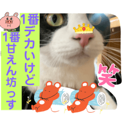 sayuri_20221121212626