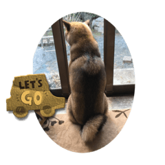 yuuko_20221122085348