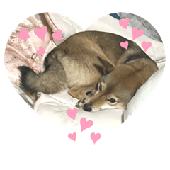 yuuko_20221122072958