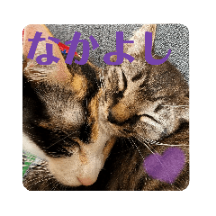 aoi_20221122091903