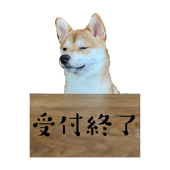yuka_20221121223250