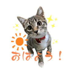 her name is Mozuku.