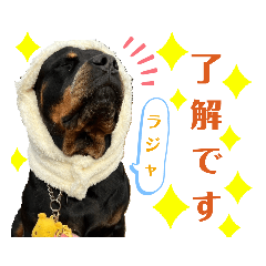 Honey_20221122115015