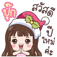 Pook : Christmas & Happy New year