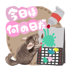tanuki_20221122115500