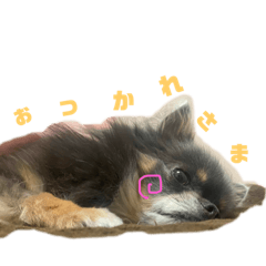 Hana_20221122170049