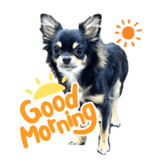 momoko_20221123080621