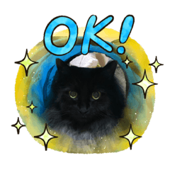 yokko_20221123011544