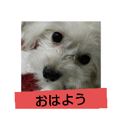 YUKA_20221122