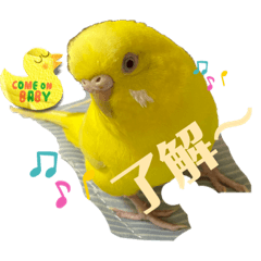 Nozomi_20221122204341