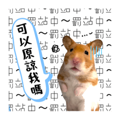 Omi 小公舉