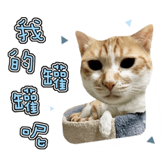 麻吉是對的 – LINE貼圖 | LINE STORE